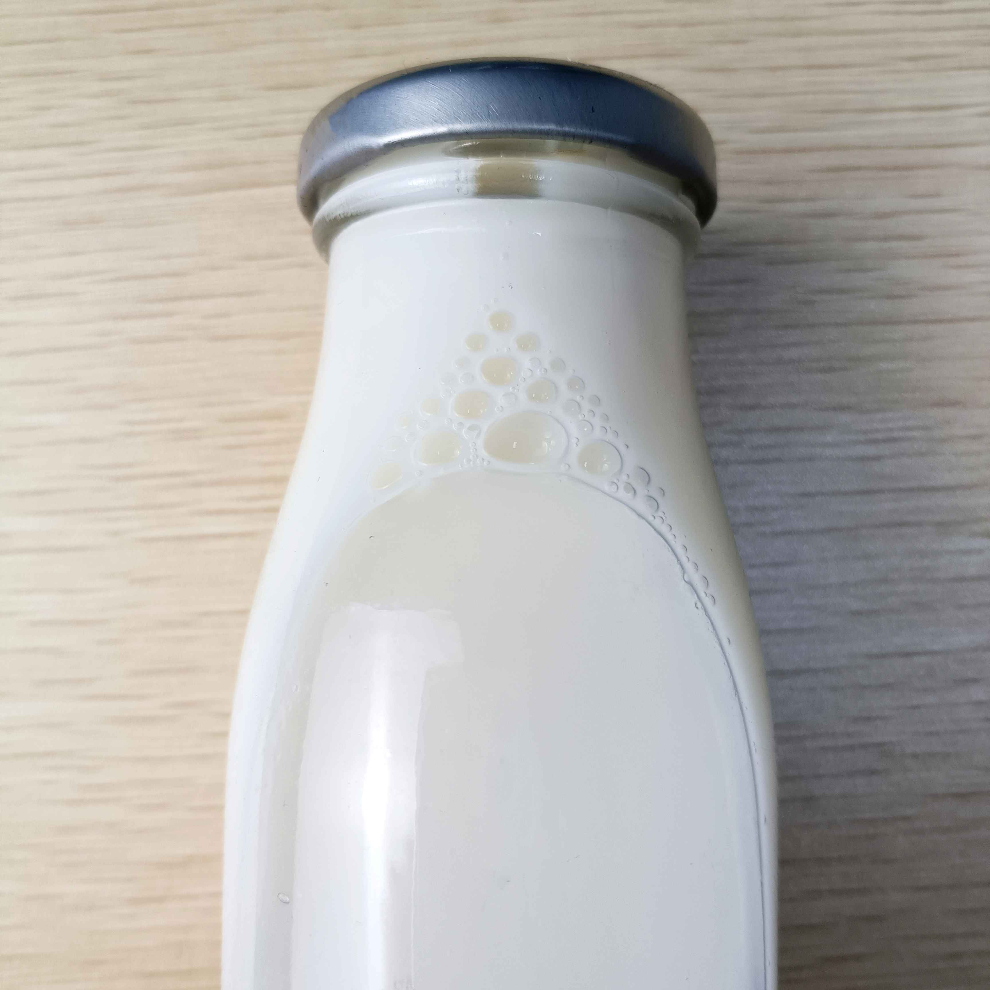 无蔗糖植物乳酸菌